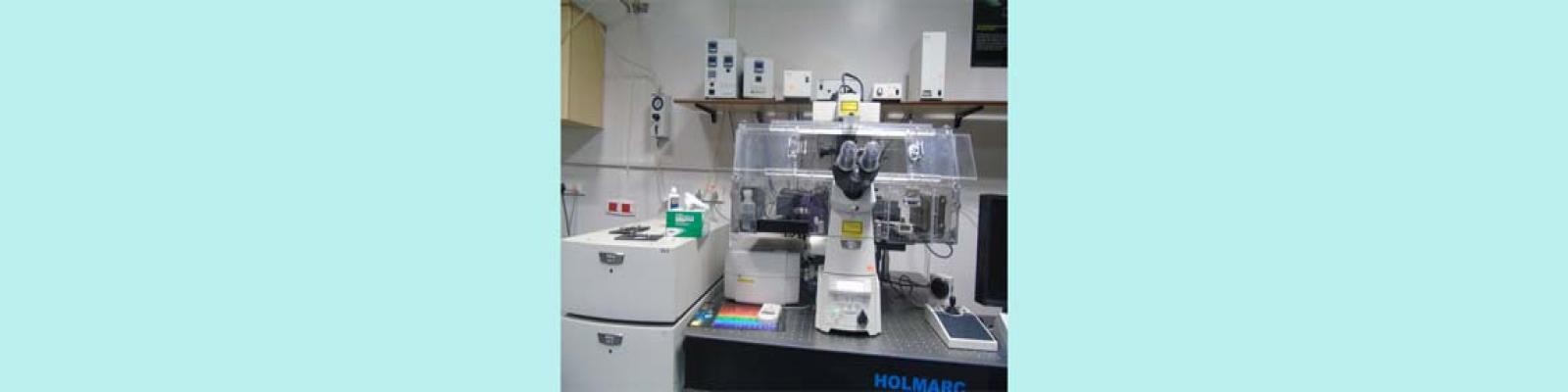 Live Cell Imaging